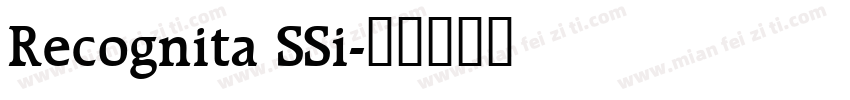 Recognita SSi字体转换